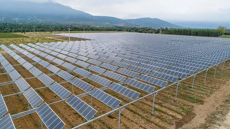 fotovoltaico agrivoltaico impianto