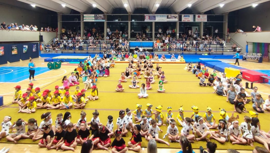 palestra ginnastica artistica area nord