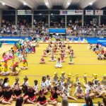 palestra ginnastica artistica area nord