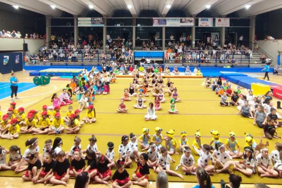 palestra ginnastica artistica area nord